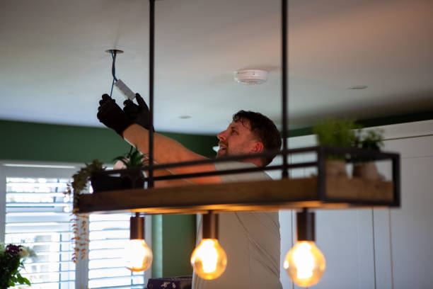 Best Electrician for Home Renovation  in Capron, IL